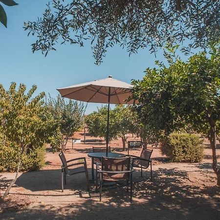 Hotel Castillo Ferrer Valle de Guadalupe Kültér fotó