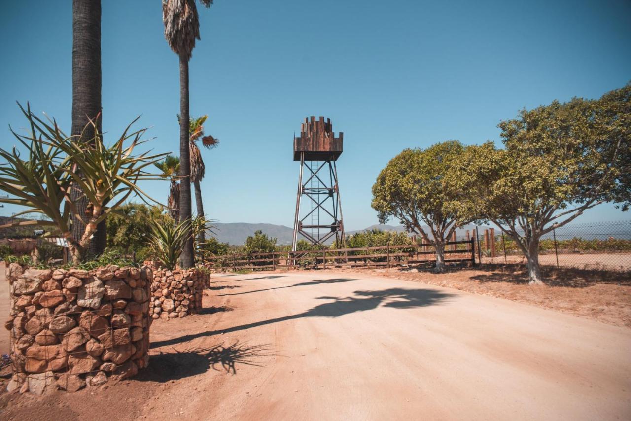 Hotel Castillo Ferrer Valle de Guadalupe Kültér fotó