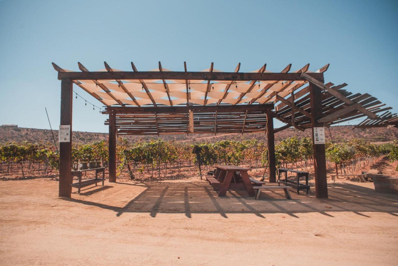 Hotel Castillo Ferrer Valle de Guadalupe Kültér fotó
