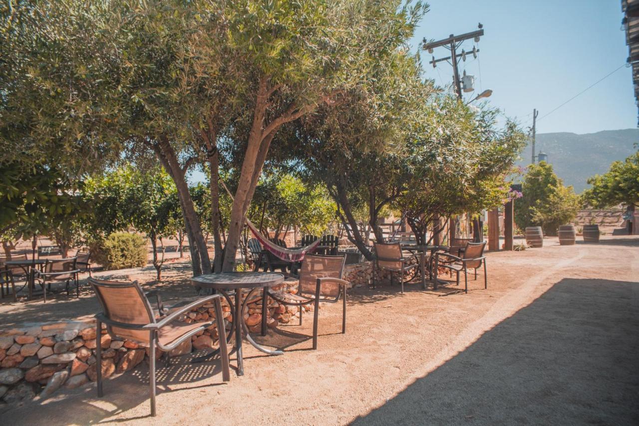 Hotel Castillo Ferrer Valle de Guadalupe Kültér fotó