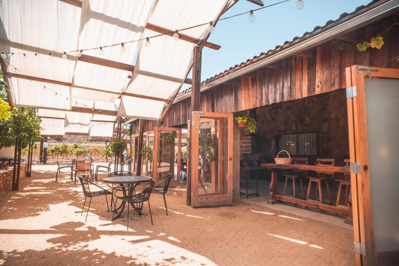 Hotel Castillo Ferrer Valle de Guadalupe Kültér fotó